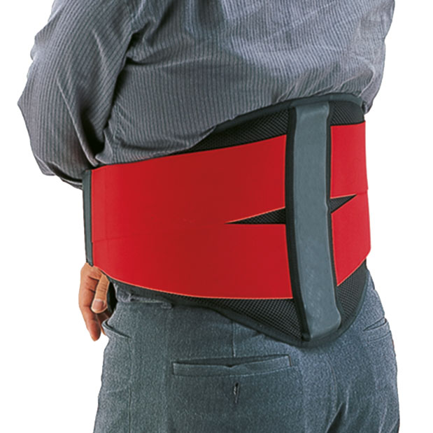 BACK SUPPORT BELT